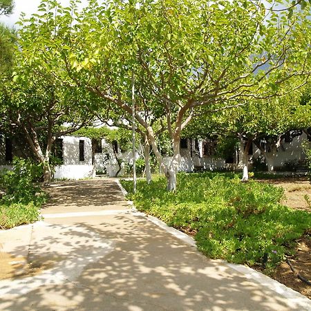 Dolphin Apartments Frangokastello Exterior foto