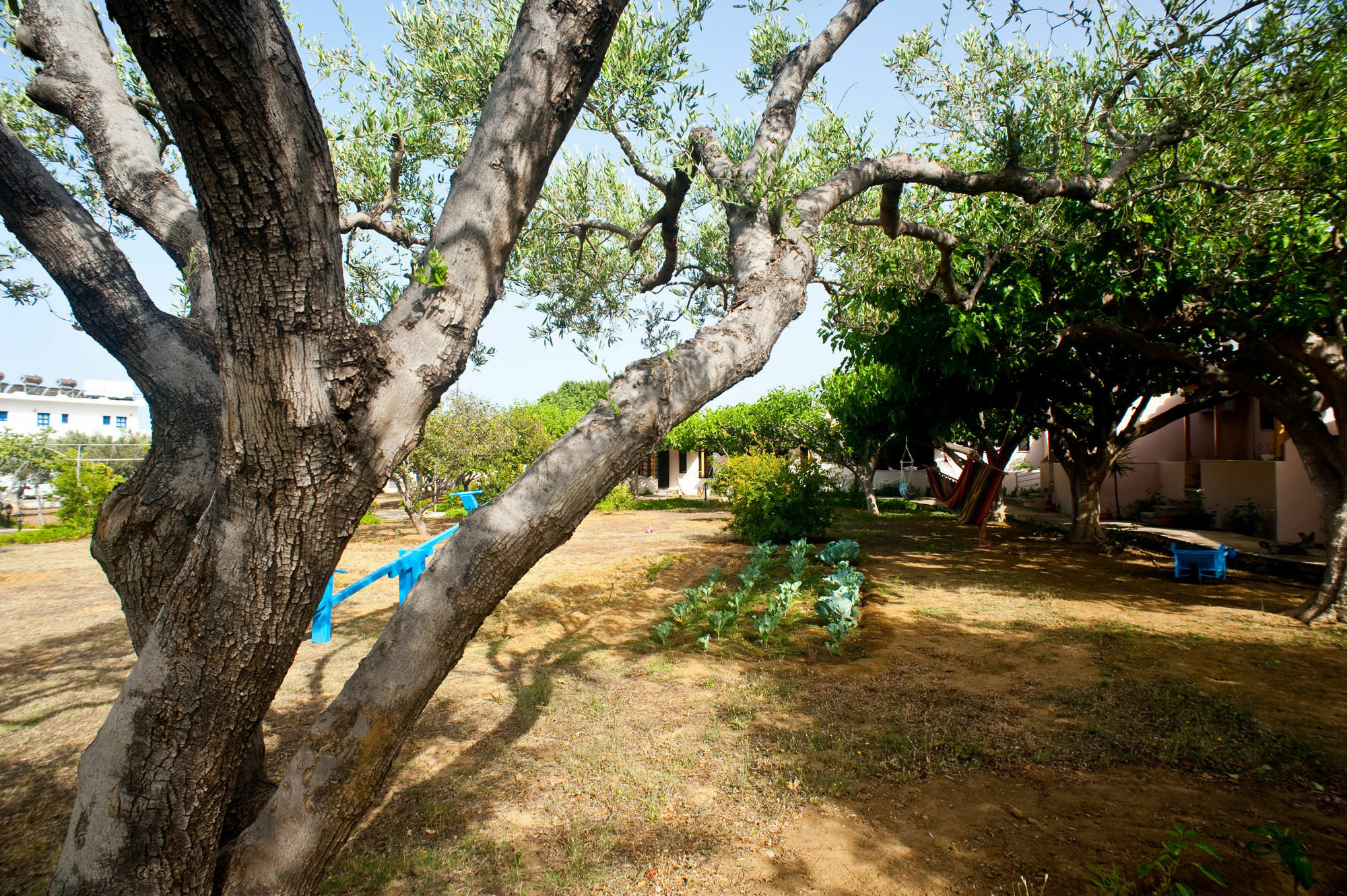 Dolphin Apartments Frangokastello Exterior foto